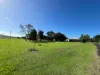 2 Allison Street, Daradgee, Qld 4860-Image