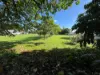 2 Allison Street, Daradgee, Qld 4860-Image