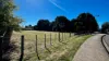 2 Annie Place, Sheffield, Tas 7306-Image