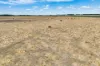 2 Bostocks Road, Woolsthorpe, Vic 3276-Image