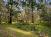2 Dielhof Drive, Wondecla, Qld 4887-Image