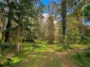 2 Dielhof Drive, Wondecla, Qld 4887-Image