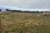 2 Edwards Way, Quairading, WA 6383-Image