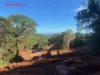 2 Hope Street, Cooktown, Qld 4895-Image