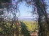 2 Hope Street, Cooktown, Qld 4895-Image