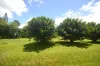 2 Mccowatt Road, Garradunga, Qld 4860-Image