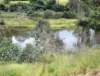 2 Meyer Street, Gayndah, Qld 4625-Image