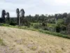 2 Meyer Street, Gayndah, Qld 4625-Image