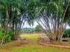 2 Pelling Close, Kanimbla, Qld 4870-Image