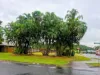 2 Pelling Close, Kanimbla, Qld 4870-Image