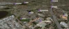 2 Stallion Road, Cockburn Central, WA 6164-Image