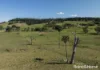 2 Toolijooa Road, Toolijooa, NSW 2534-Image