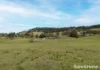 2 Toolijooa Road, Toolijooa, NSW 2534-Image