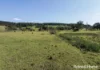 2 Toolijooa Road, Toolijooa, NSW 2534-Image