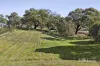 2 Vosti Lane, Guildford, Vic 3451-Image