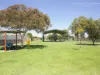 2 Wagtail Street, Narromine, NSW 2821-Image