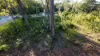 2 Waratah St, Russell Island, Qld 4184-Image