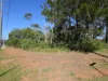 2 Waratah St, Russell Island, Qld 4184-Image