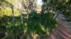 2 Waratah St, Russell Island, Qld 4184-Image