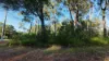 2 Waratah St, Russell Island, Qld 4184-Image