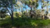 2 Waratah St, Russell Island, Qld 4184-Image