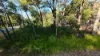 2 Waratah St, Russell Island, Qld 4184-Image