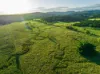 2 Webber Road, Wyrallah, NSW 2480-Image