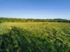 2 Webber Road, Wyrallah, NSW 2480-Image