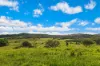 2 Webber Road, Wyrallah, NSW 2480-Image