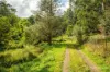 20 Andersons Avenue, Warburton, Vic 3799-Image