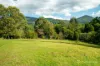 20 Andersons Avenue, Warburton, Vic 3799-Image