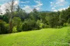 20 Andersons Avenue, Warburton, Vic 3799-Image