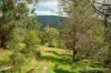 20 Andersons Avenue, Warburton, Vic 3799-Image