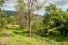 20 Andersons Avenue, Warburton, Vic 3799-Image