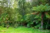 20 Andersons Avenue, Warburton, Vic 3799-Image
