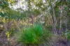 20 Bayview Close, Agnes Water, Qld 4677-Image
