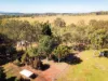 20 Bulankoff Road, Tolga, Qld 4882-Image