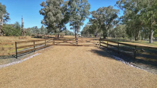 20 Cable Street, Canowindra, NSW 2804