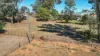 20 Cable Street, Canowindra, NSW 2804-Image