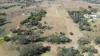 20 Cable Street, Canowindra, NSW 2804-Image