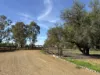 20 Cable Street, Canowindra, NSW 2804-Image