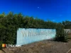 20 Cypress Crescent, Bowen, Qld 4805-Image