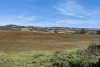 20 Evans Road, Tylden, Vic 3444-Image