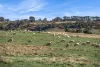 20 Evans Road, Tylden, Vic 3444-Image