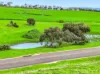20 Haynes Drive, Cape Jervis, SA 5204-Image