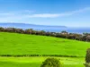 20 Haynes Drive, Cape Jervis, SA 5204-Image