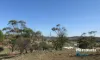 20 Jacamar Drive, Northam, WA 6401-Image