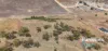20 Jacamar Drive, Northam, WA 6401-Image