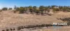 20 Jacamar Drive, Northam, WA 6401-Image