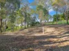 20 Longview  Drive, River Heads, Qld 4655-Image